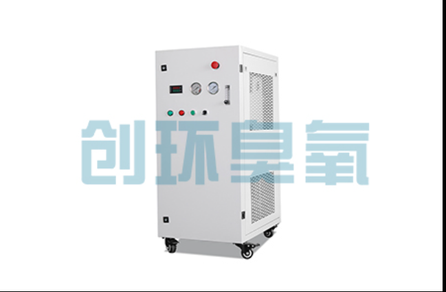 丰满工厂化养鲈必看：2026年臭氧发生器替代传统消毒的最新方案