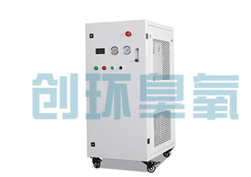 丰满石斑鱼养殖水质调控完整指南：臭氧发生器配置与操作步骤