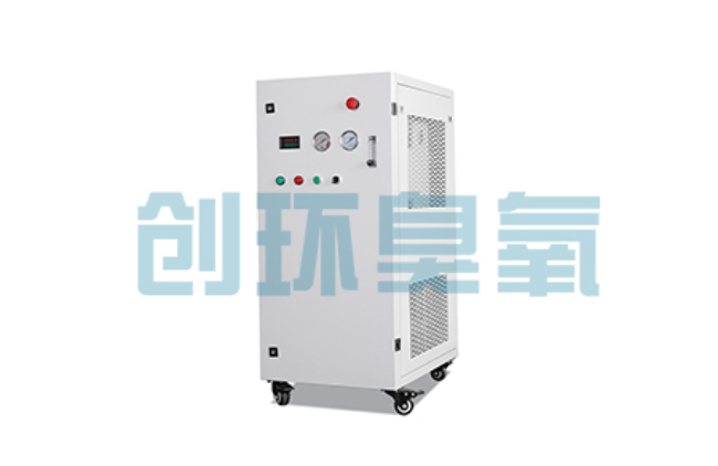 丰满比传统换水更高效？臭氧发生器在石斑鱼养殖中的水质净化原理解析